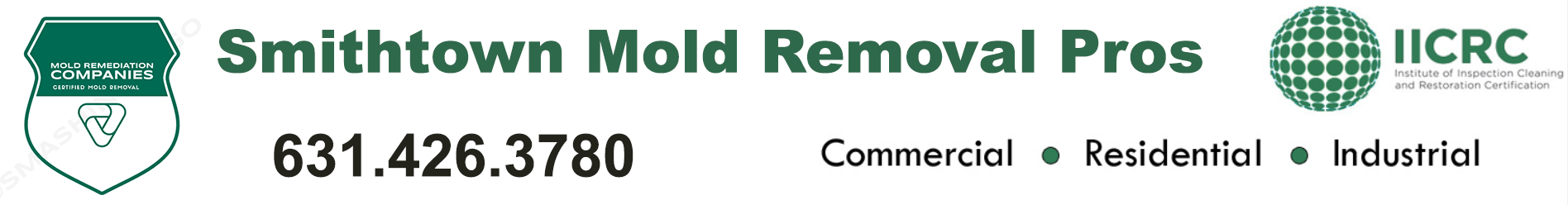 Smithtown Mold Removal Pros